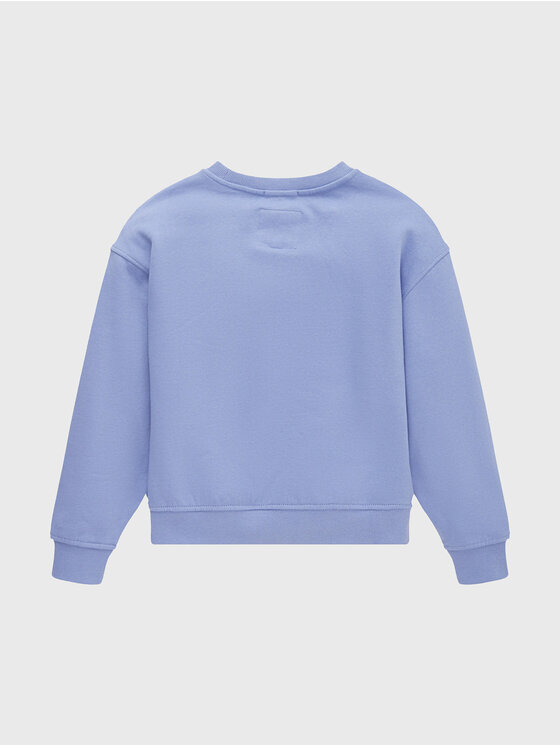 Tom Tailor Tom Tailor Džemperis 1033144 Violetinė Regular Fit