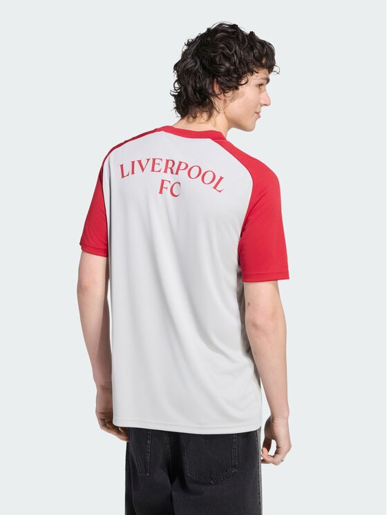 adidas adidas Koszulka techniczna 171853 Szary Regular Fit