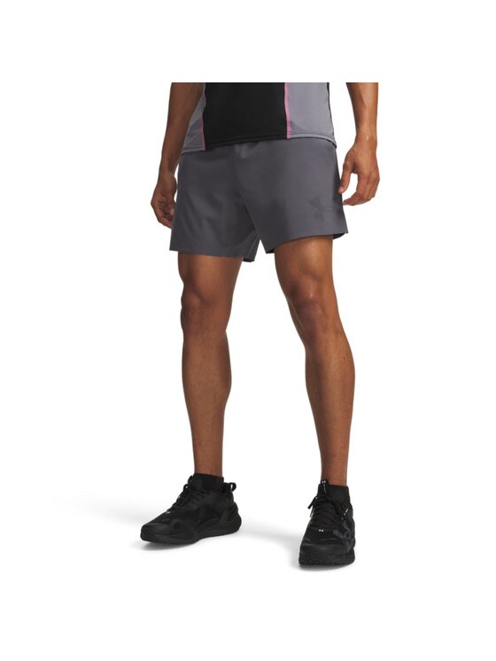Under Armour Under Armour Szorty sportowe 6009868 Szary Regular Fit