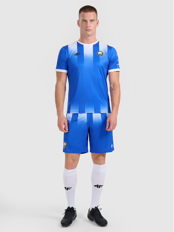 4F 4F Koszulka techniczna TEAMWEAR Kolorowy Regular Fit