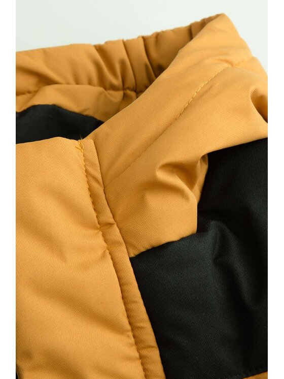 Coccodrillo Coccodrillo Zimné bundy ZC6152105OBK-026 Žltá Regular Fit