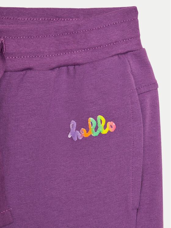 Coccodrillo Coccodrillo Spodnie dresowe WC4120102JPK Fioletowy Regular Fit