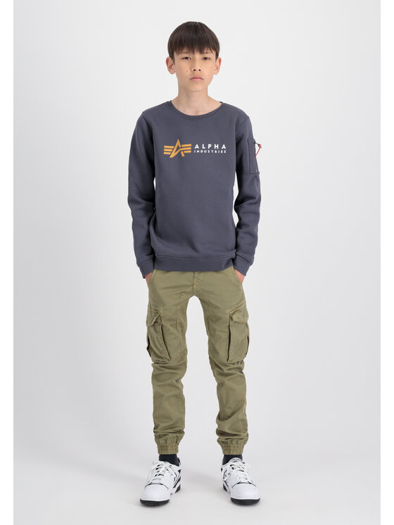 Alpha Industries Alpha Industries Bluza Alpha Label Sweatshirt Kids Szary Regular Fit
