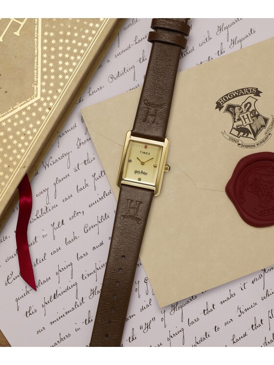 Timex Timex Hodinky TW2Y75700 Hnedá