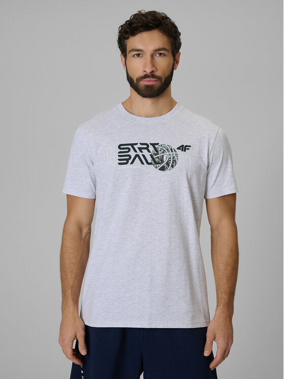 4F 4F T-Shirt ESSENTIAL 2 Szary jasny Regular Fit