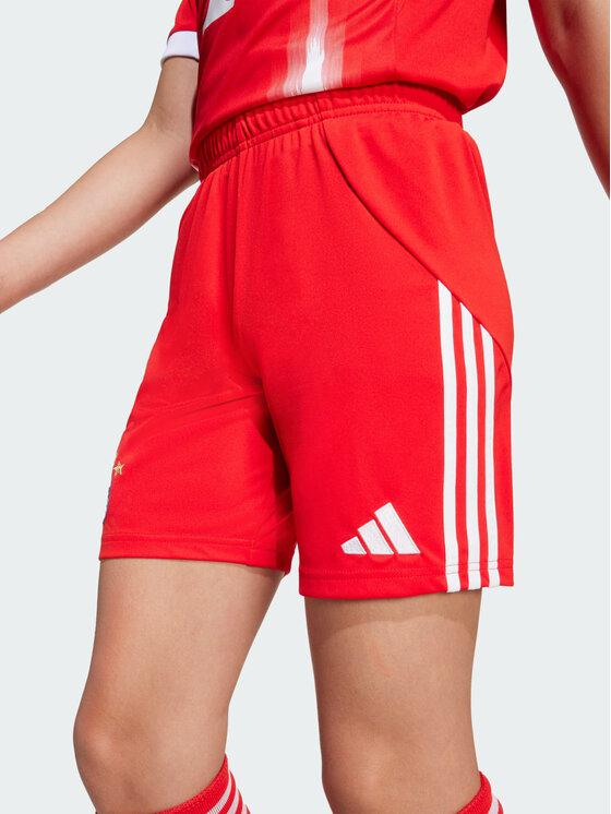 adidas adidas Szorty sportowe 154883 Czerwony Regular Fit
