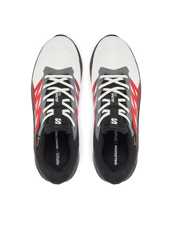 Salomon Salomon Bėgimo batai Alphaglide Gore-Tex L47802200 Pilka