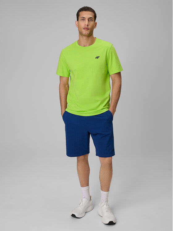 4F 4F T-Shirt BASIC+ Zielony Regular Fit