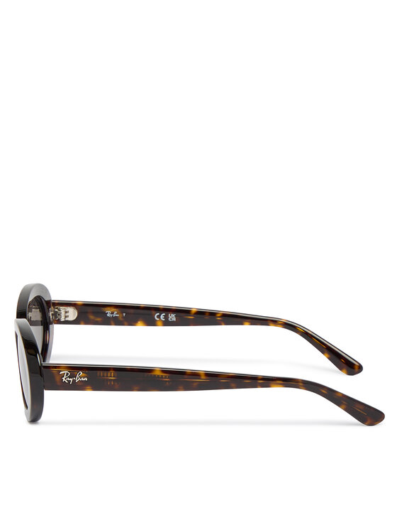 Ray-Ban Ray-Ban Okulary przeciwsłoneczne 0RB2223 Brązowy