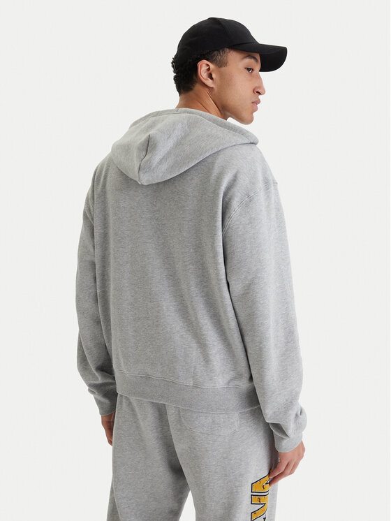 RVCA RVCA Džemperis ar kapuci Va X Ali 23A413500 Pelēks Regular Fit