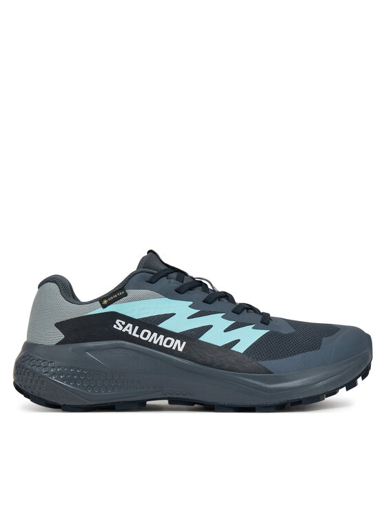 Salomon Salomon Pantofi pentru alergare Alphaglide Gore-Tex L47802500 Gri