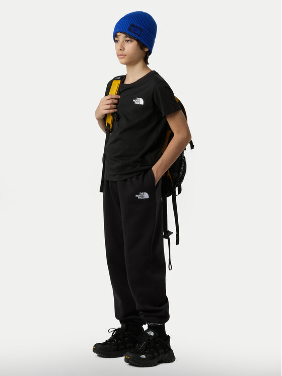 The North Face The North Face T-Shirt Simple Dome NF0A87T4 Czarny Regular Fit