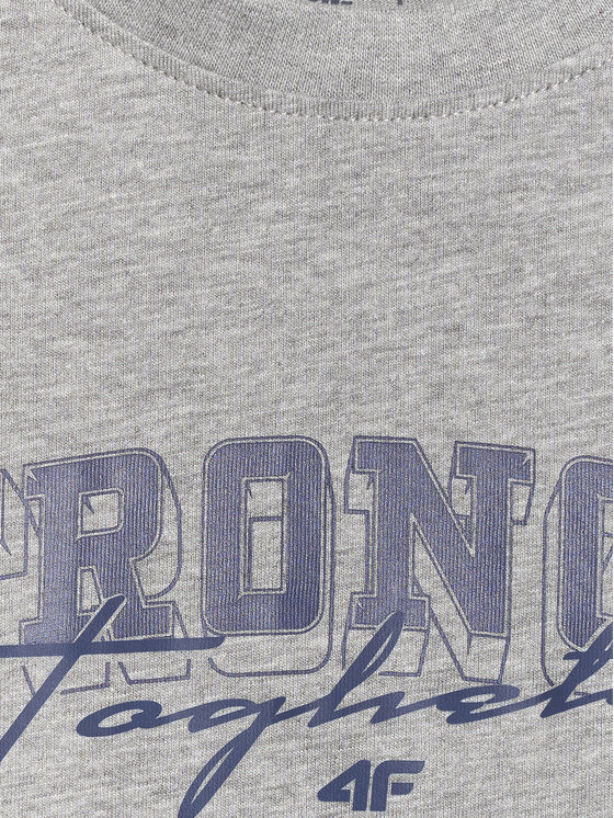 4F 4F T-Shirt CAMPUS VIBES Szary jasny Loose Fit
