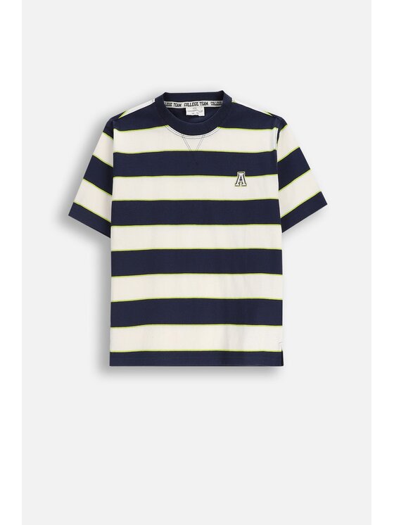 Coccodrillo Coccodrillo T-Shirt ZC5143204ABJ-022 Kolorowy Regular Fit
