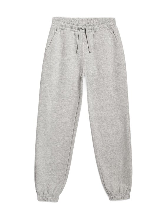 4F 4F Spodnie dresowe BASIC+ Szary Oversize