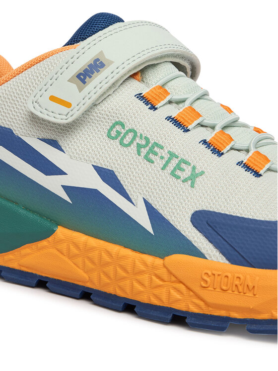 Primigi Primigi Sneakers AVANT Gtx 1431033 D Grigio