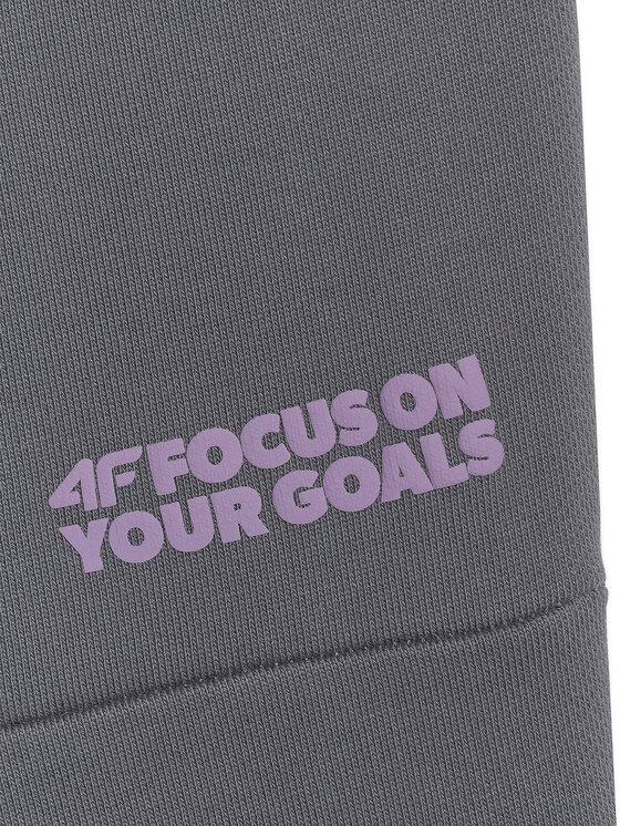 4F 4F Spodnie dresowe SELF CARE Szary ciemny Regular Fit