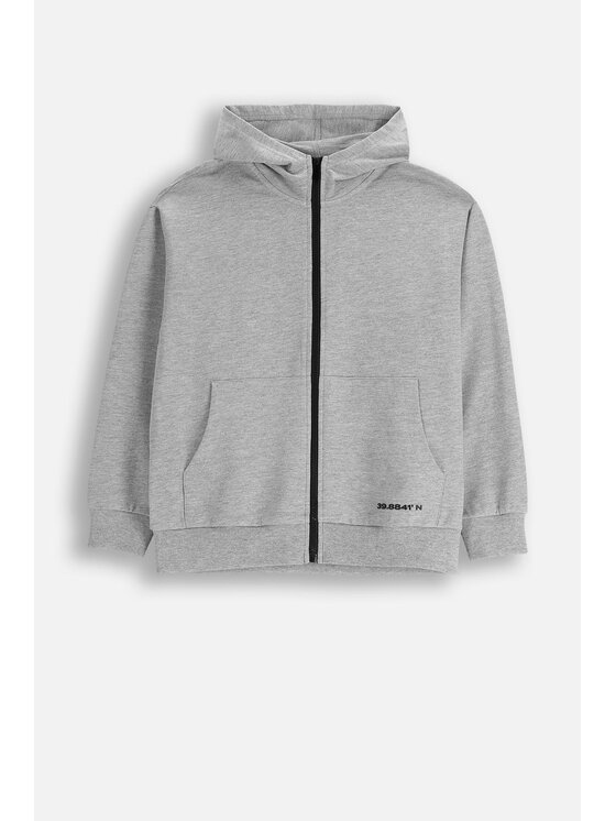 Coccodrillo Coccodrillo Mikina ZC5132401VBA-019 Šedá Regular Fit