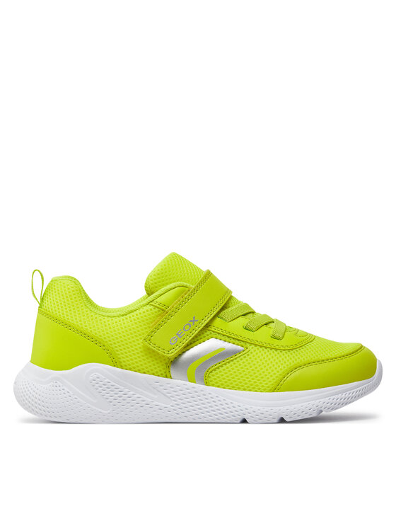 Sneakers Geox