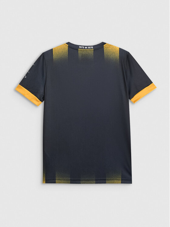 4F 4F Koszulka techniczna TEAMWEAR Kolorowy Regular Fit