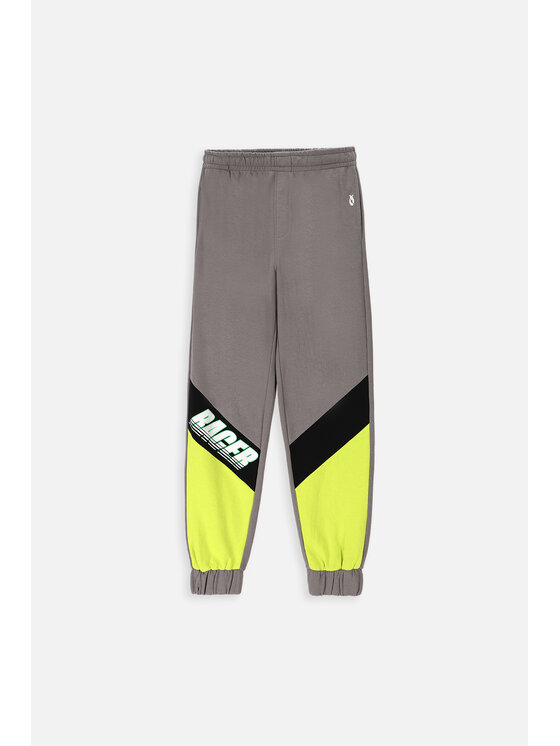 Lemon Explore Lemon Explore Spodnie dresowe WL4120104CWB-022 Kolorowy Regular Fit