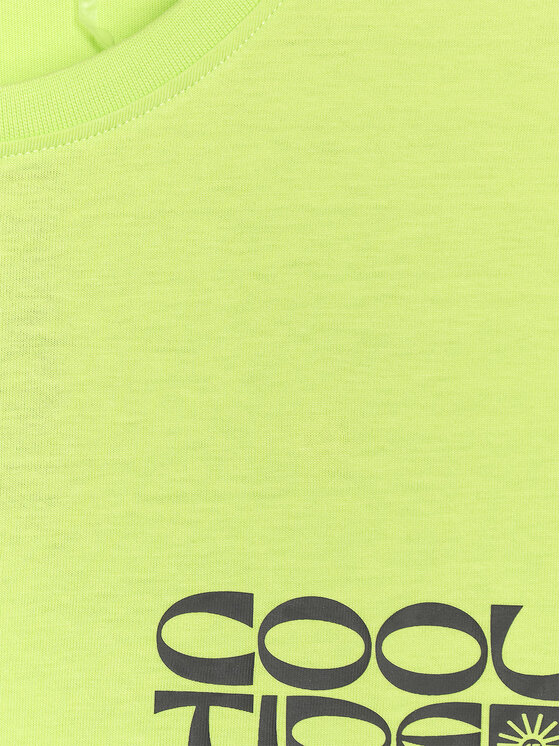 4F 4F T-Shirt CHILLY WAVES Zielony Regular Fit