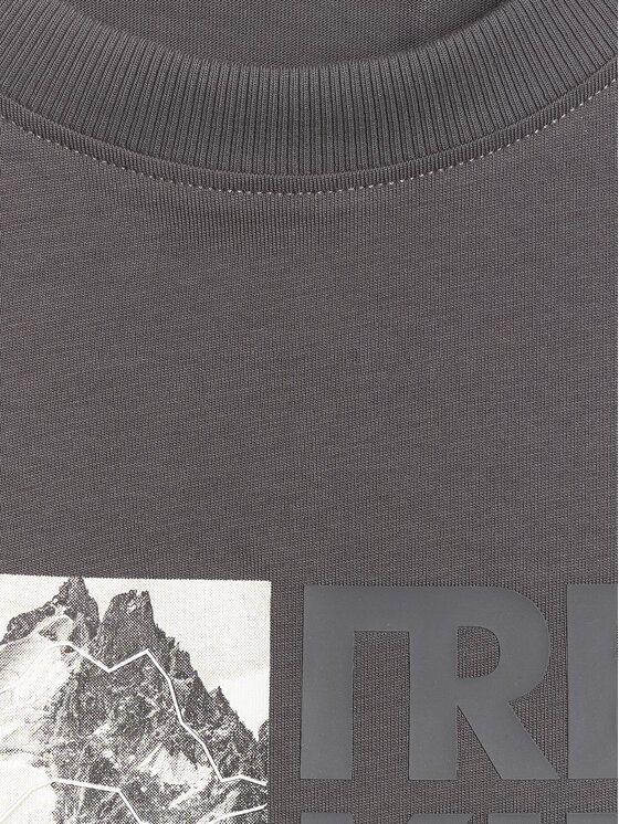 4F 4F T-Shirt TREKKING Szary Regular Fit