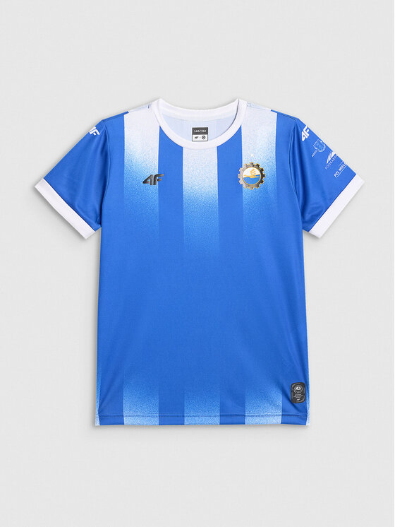4F 4F Koszulka techniczna TEAMWEAR Kolorowy Regular Fit