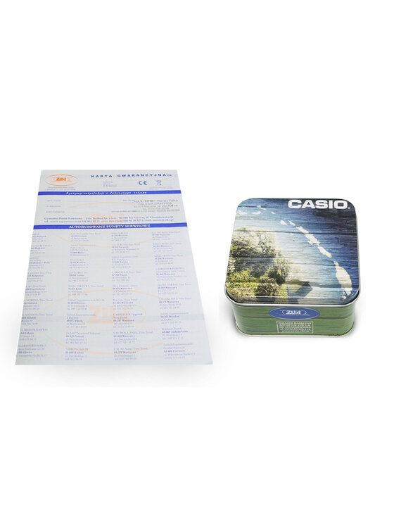 Casio Casio Zegarek A168WEM-2EF Srebrny