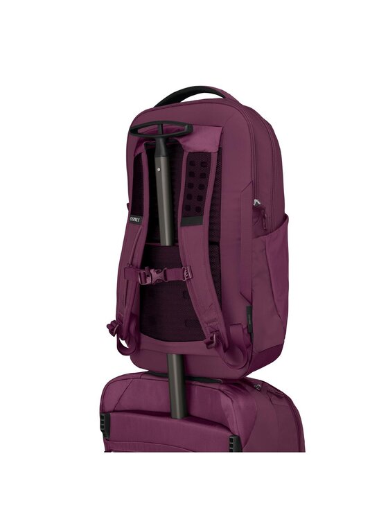 Osprey Osprey Plecak 326649 Fioletowy