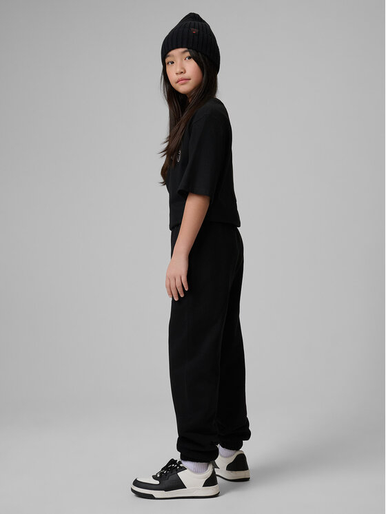 4F 4F Spodnie dresowe BASIC+ Czarny Regular Fit