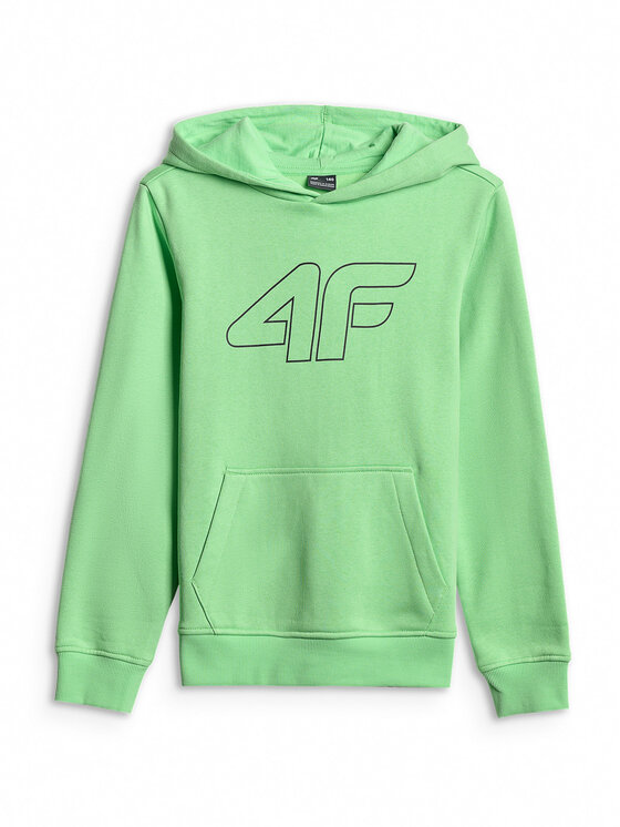 4F 4F Bluza BASIC+ Zielony Regular Fit