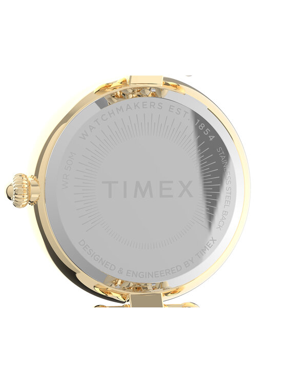 Timex Timex Hodinky TW2V02500 Zlatá