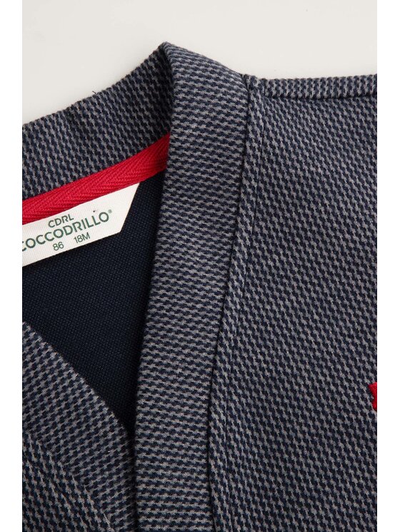 Coccodrillo Coccodrillo Sweter ZC6172201EBB-015 Granatowy Regular Fit