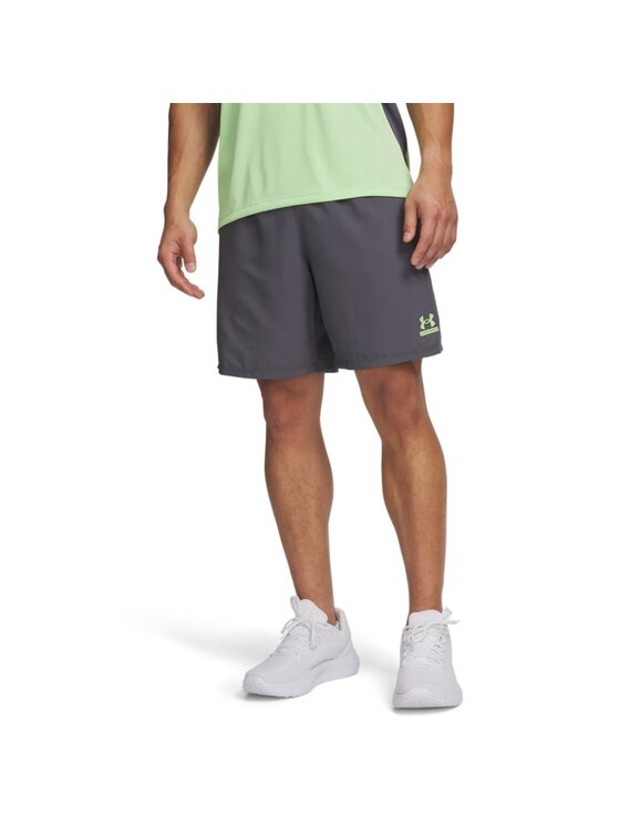 Under Armour Under Armour Szorty sportowe 6014639 Szary Regular Fit