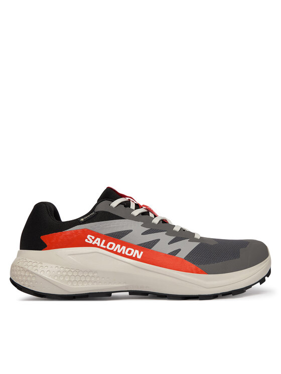 Salomon Salomon Bežecké topánky Alphaglide Gore-Tex L47975300 Sivá