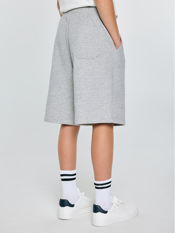 BIG STAR BIG STAR Szorty materiałowe DONER Szary Comfort Fit