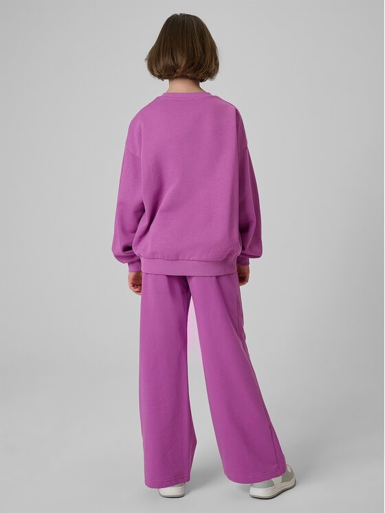 4F 4F Pantaloni da tuta 4FJRSS26TTROF1918-51S Viola Regular Fit