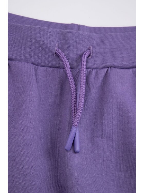 Coccodrillo Coccodrillo Teplákové kalhoty WC6120101VGA-016 Fialová Regular Fit