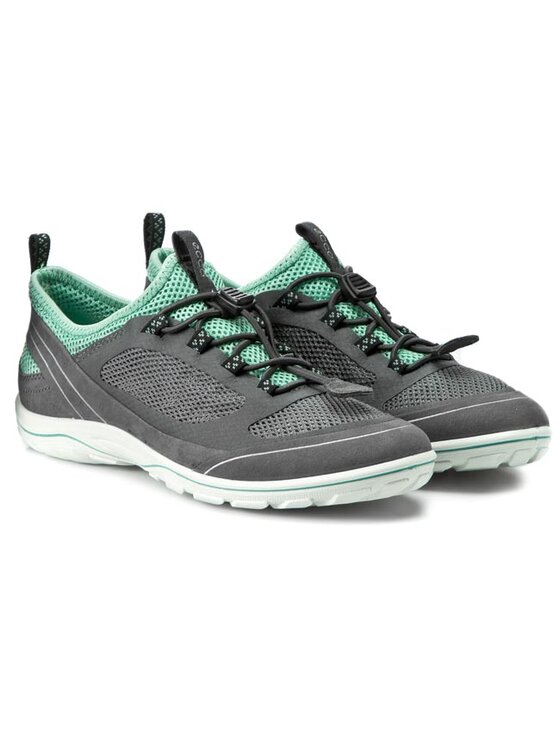 ecco arizona