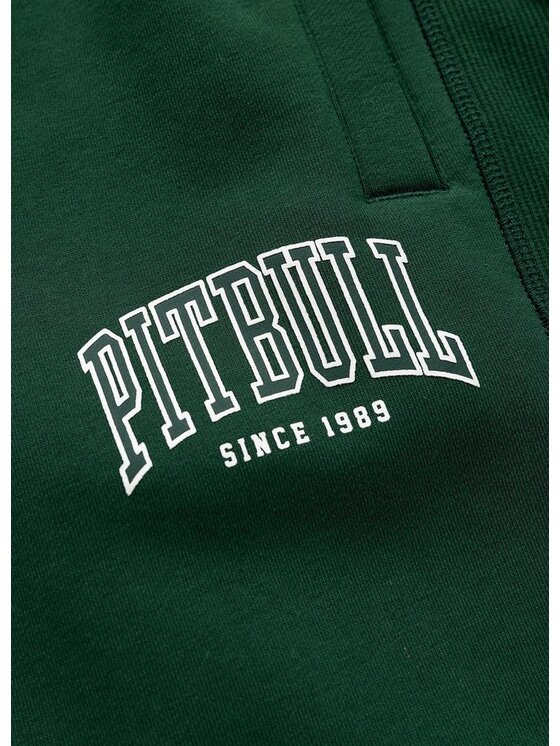 PITBULL PITBULL Szorty sportowe BADGER Zielony Regular Fit