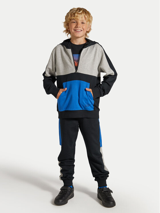 Coccodrillo Coccodrillo Суитшърт ZC4132301DBJ Цветен Regular Fit