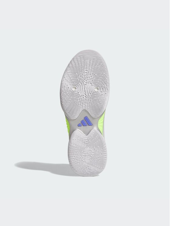 adidas adidas Buty do koszykówki 169264 Srebrny