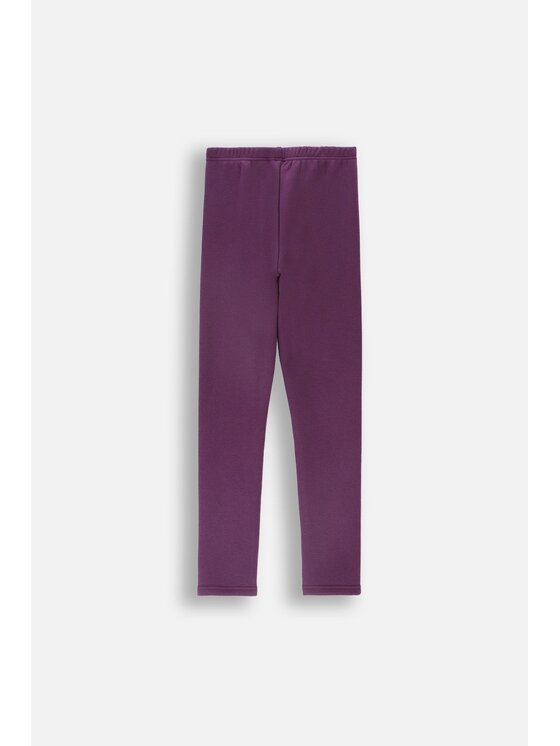 Lemon Explore Lemon Explore Legginsy ZL4122601ACG-016 Fioletowy