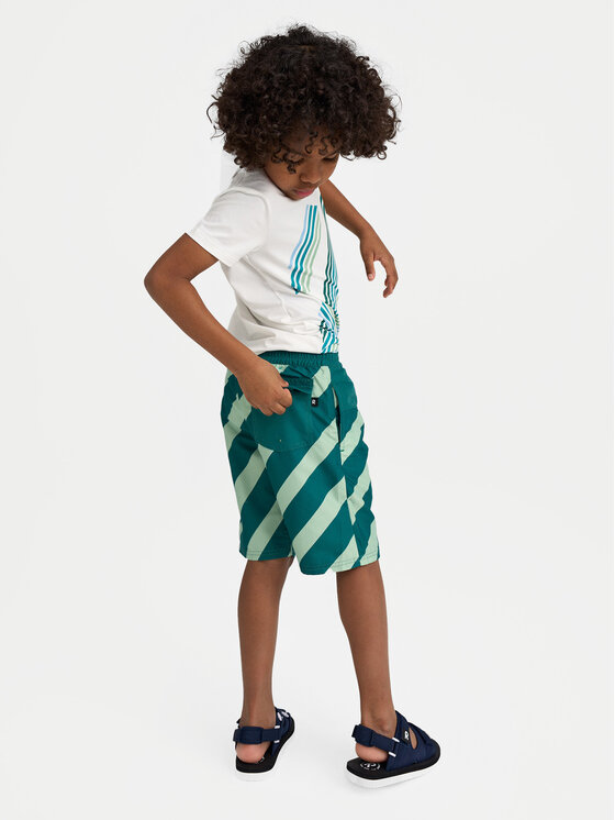 Reima Reima Pantaloni scurți pentru înot Papaija 5200155B Verde Regular Fit
