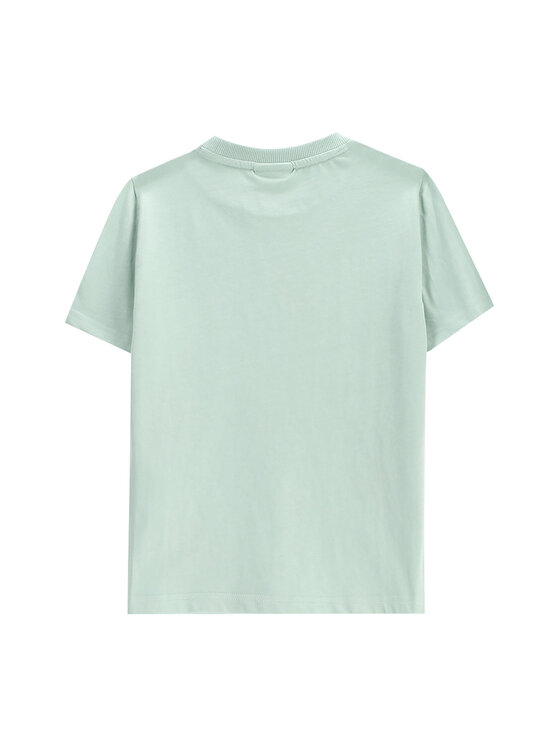 Coccodrillo Coccodrillo T-Shirt WC5143202WBK Zielony Regular Fit