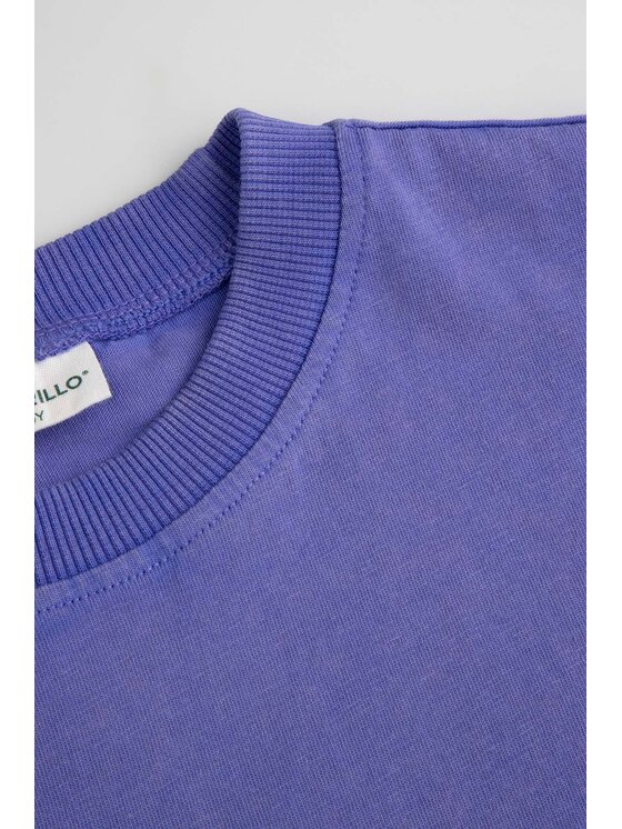 Coccodrillo Coccodrillo Tričko WC6143216VGB-016 Fialová Regular Fit