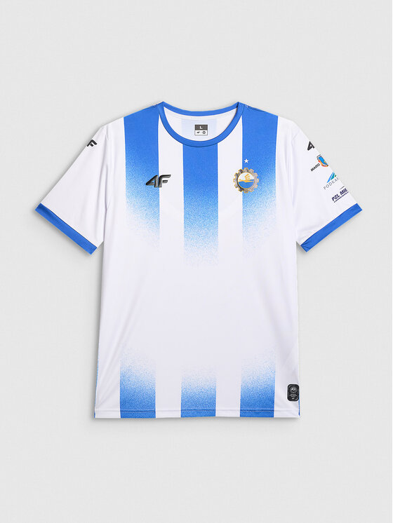 4F 4F Koszulka techniczna TEAMWEAR Kolorowy Regular Fit