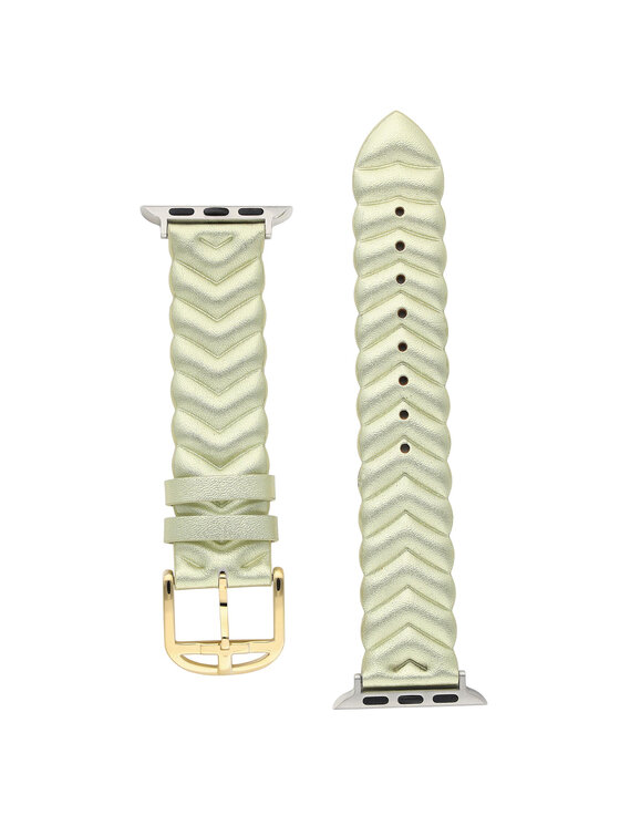 Ted Baker Ted Baker Wymienny pasek do zegarka Apple Watch BKS38F114B0 Złoty