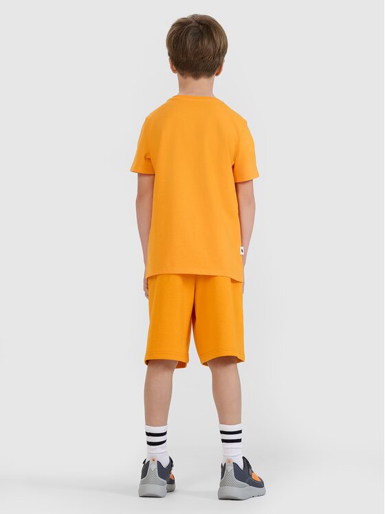 4F 4F T-Shirt 4FJRSS25TTSHM2642-70S Πορτοκαλί Regular Fit